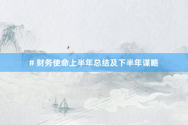 # 财务使命上半年总结及下半年谋略