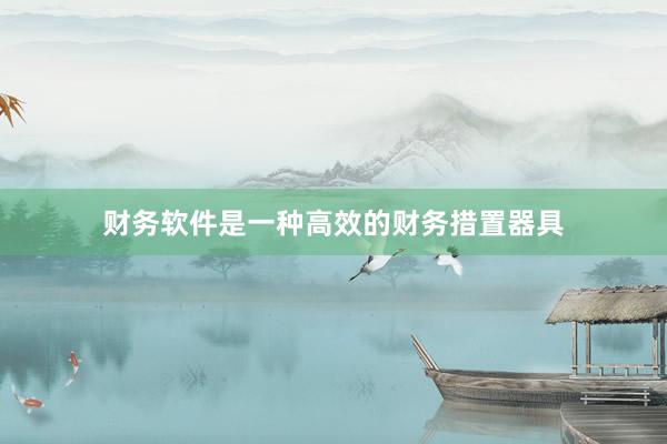 财务软件是一种高效的财务措置器具