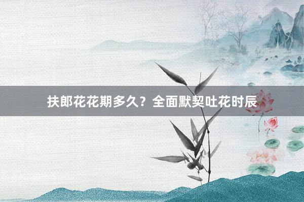 扶郎花花期多久？全面默契吐花时辰